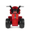 MINI DUCATI motor trójkołowy na licencji DUCATI dla najmłodszych od 1 roku