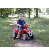 Polaris Mini 6V