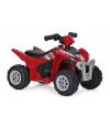 Polaris Mini 6V