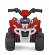 Polaris Mini 6V