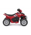 Polaris Mini 6V