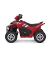 Polaris Mini 6V