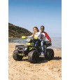 POLARIS SPORTSMAN 24V PROv